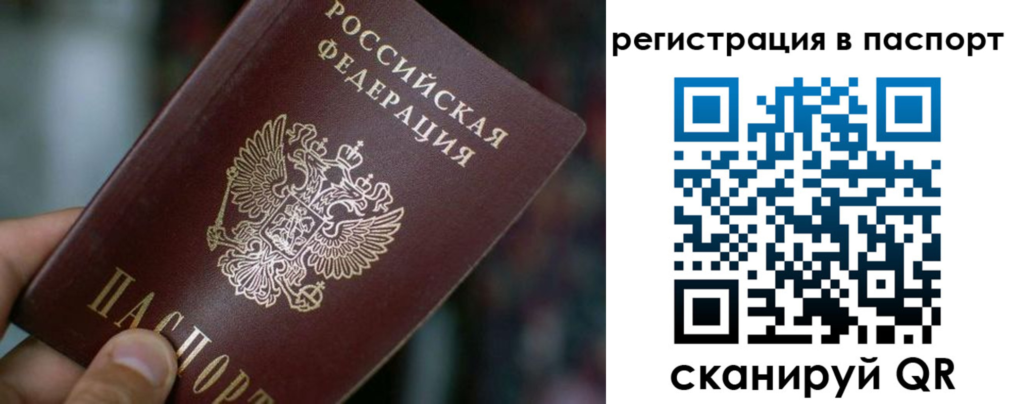временная регистрация недорого в Покрове